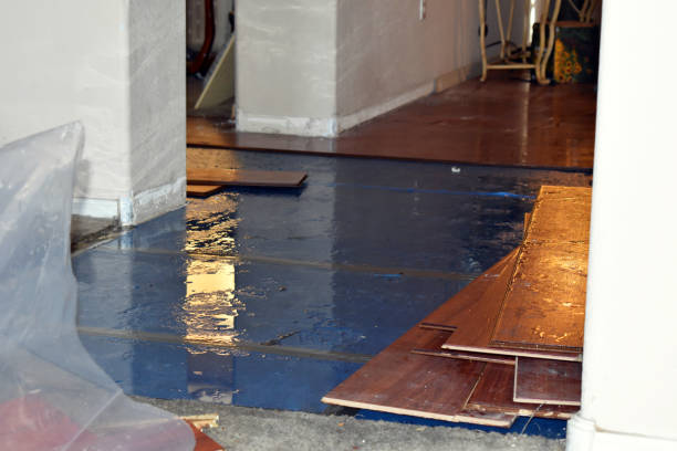 Professional Sewage Cleanup technician working in Moonachie, NJ
